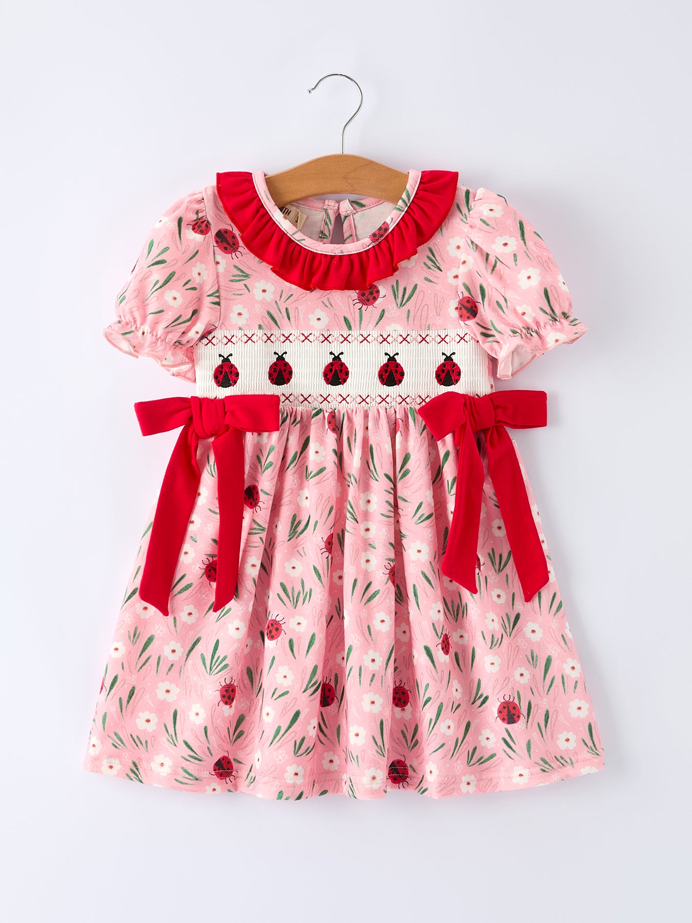 Spring Ladybug Smocked Embroidered Girls Dress 2