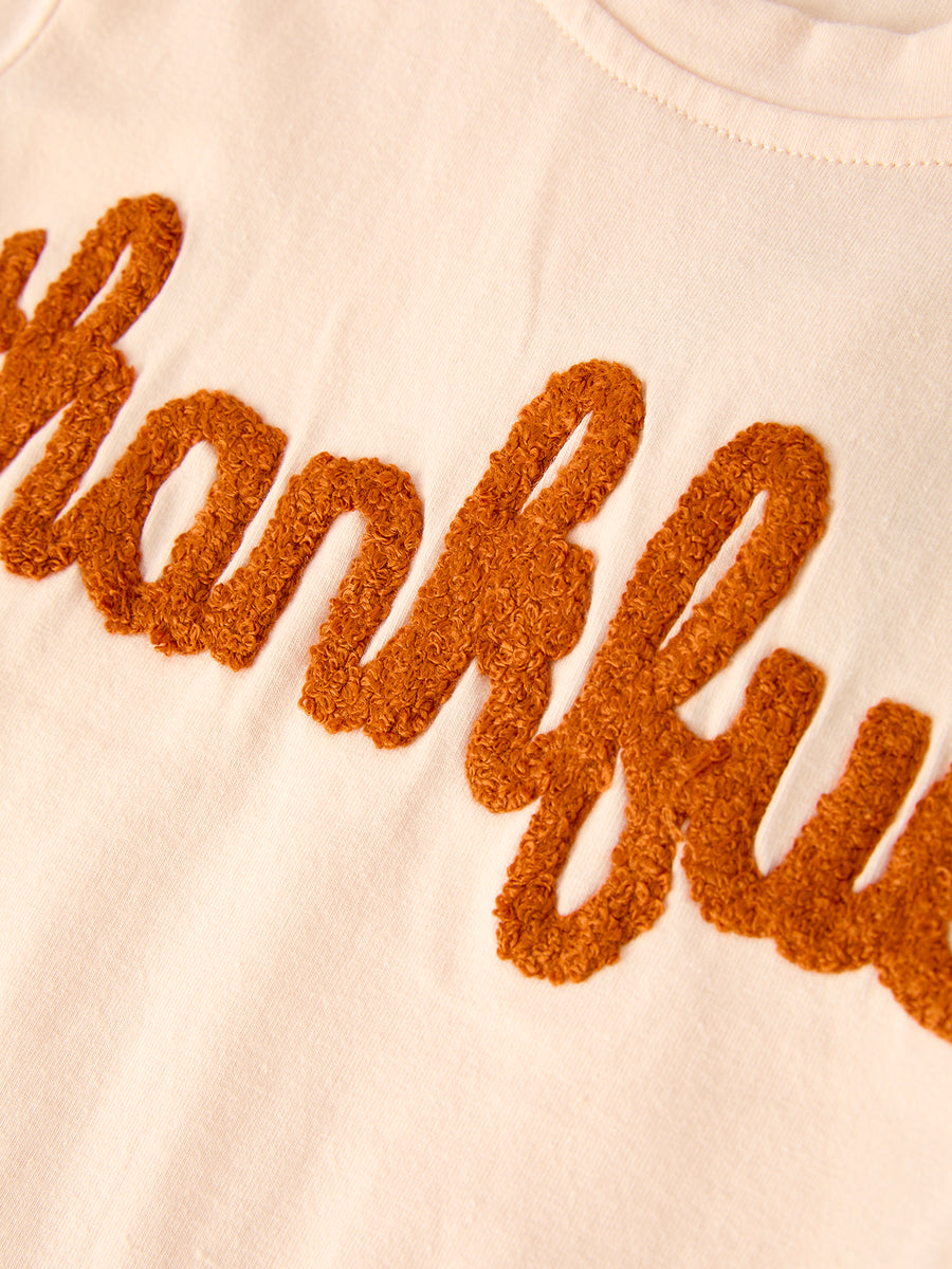 Fall Thanksgiving "thankful" Chenille Patches Stripe Girls Long Sleeve Set