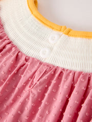 Fall Thanksgiving Turkey Leaf Embroidery Smocking Bow Girls Dress