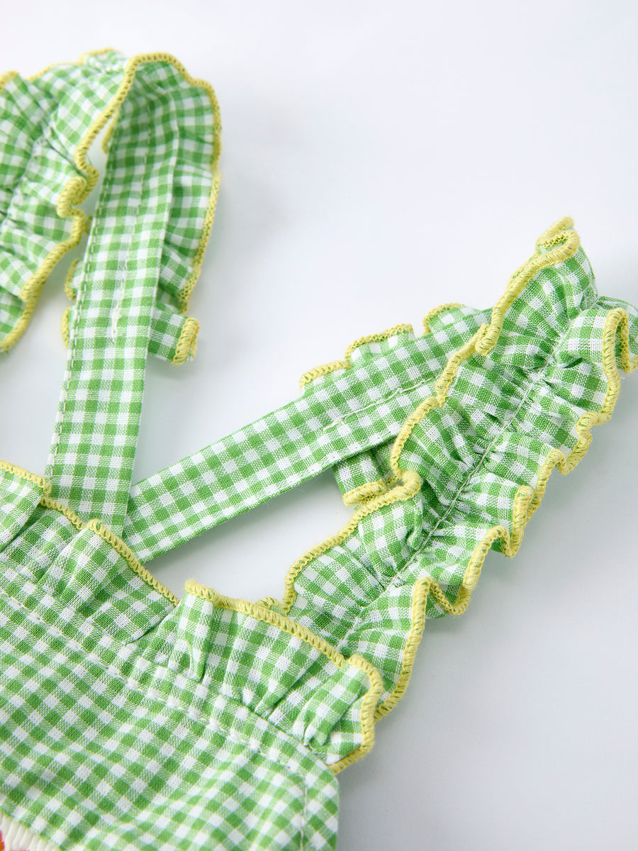 Spring Turtle Smocked Baby Girls Dress