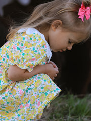 Easter Yellow Chick Embroidery Floral Girl Dress Petal Collar
