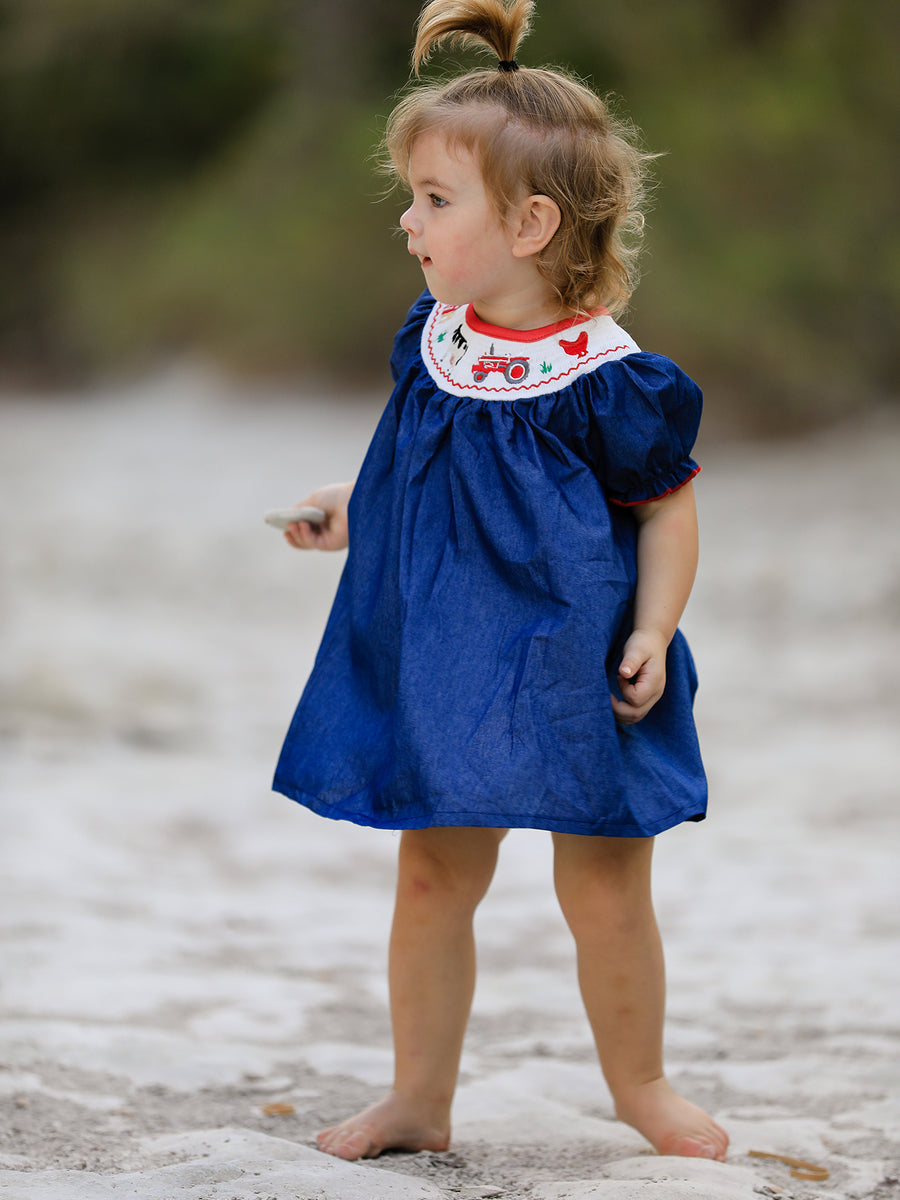 Girls Farm Smocking Embroidered Blue Dress