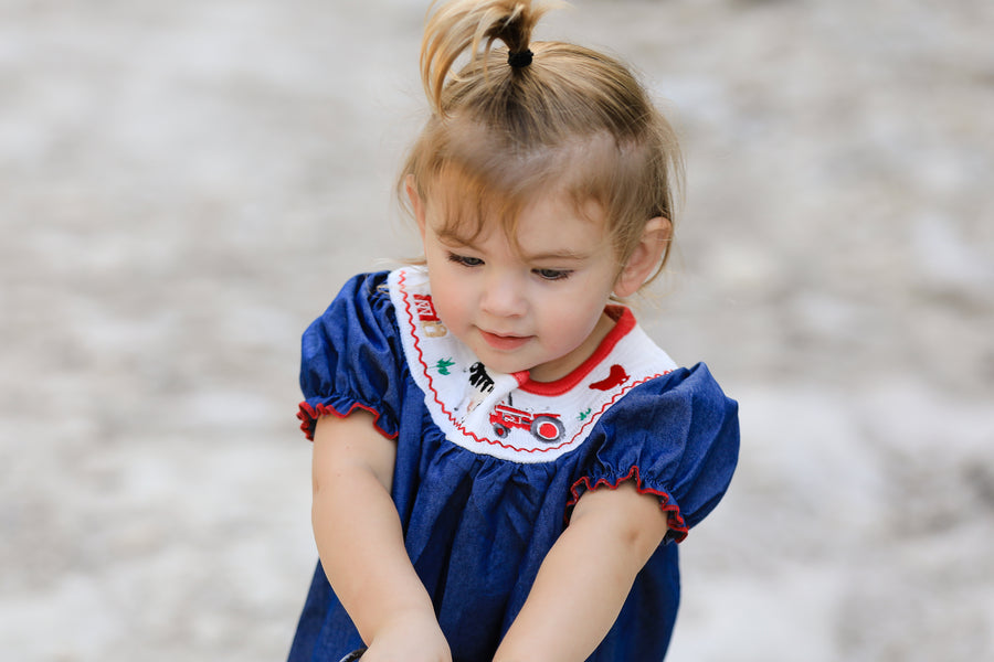 Girls Farm Smocking Embroidered Blue Dress