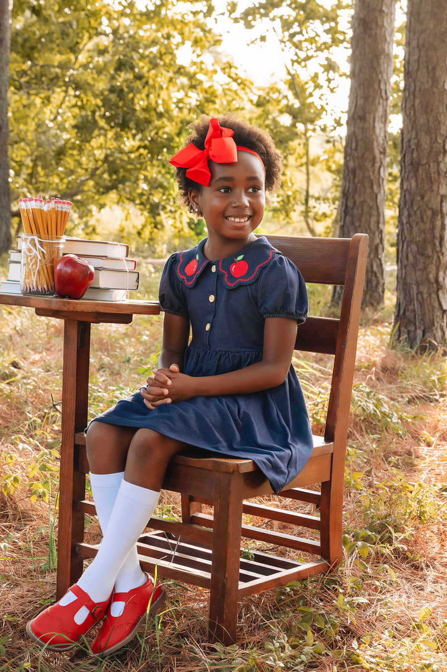Back to School Apple Applique Girls Dress Petals Collar