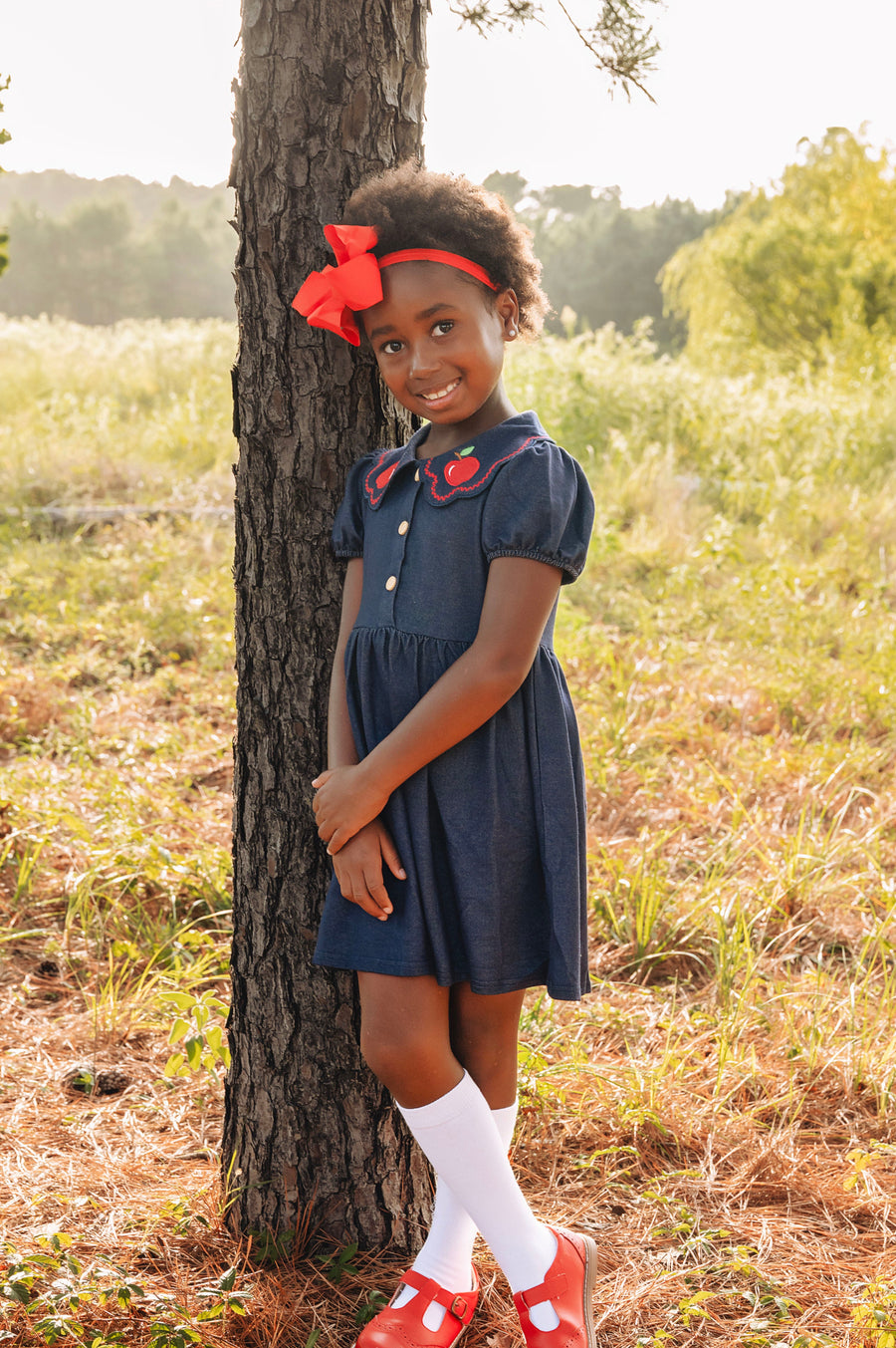 Back to School Apple Applique Girls Dress Petals Collar
