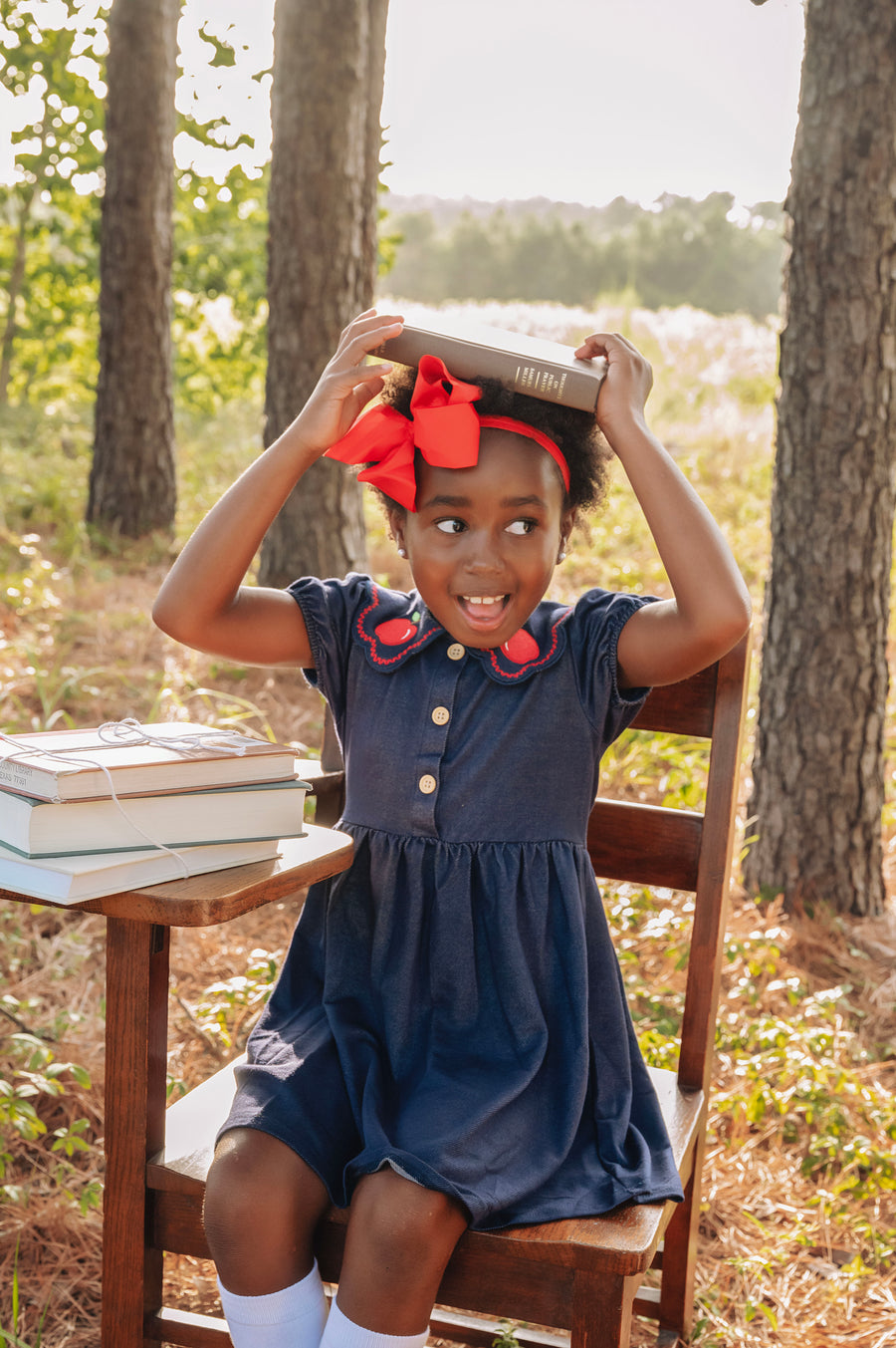 Back to School Apple Applique Girls Dress Petals Collar