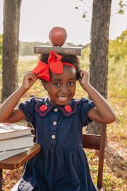 Back to School Apple Applique Girls Dress Petals Collar